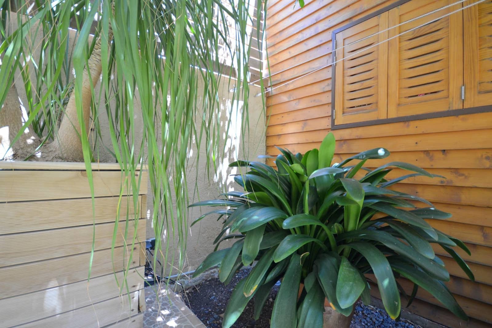 3 slaapkamer Appartement te koop in El Pont d'Inca / Es Pont d'Inca - € 639.000 (Ref: 9141669)