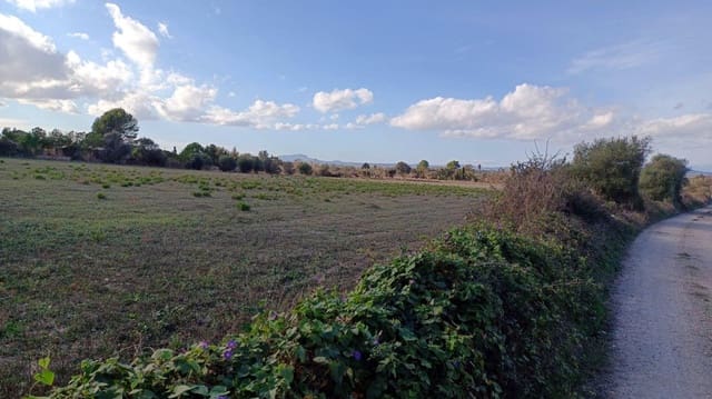 Byggetomt til salgs i Manacor - € 220 000 (Ref: 9145611)