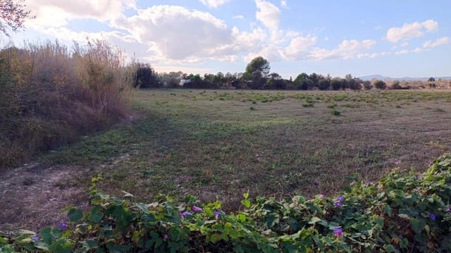 Byggetomt til salgs i Manacor - € 220 000 (Ref: 9145611)