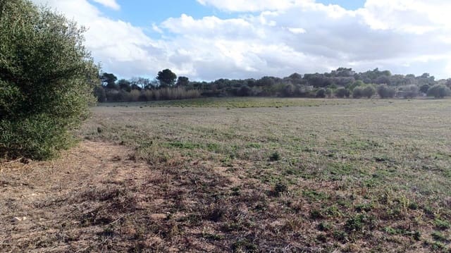 Byggetomt til salgs i Manacor - € 220 000 (Ref: 9145611)