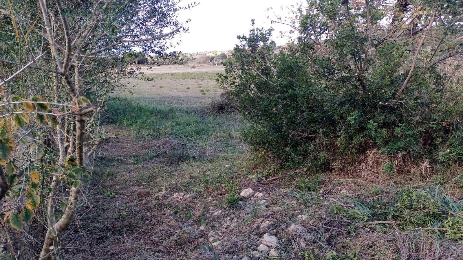 Byggetomt til salgs i Manacor - € 220 000 (Ref: 9145611)