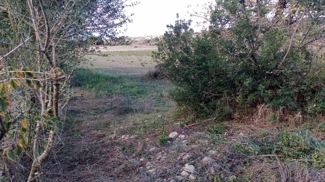 Byggetomt til salgs i Manacor - € 220 000 (Ref: 9145611)