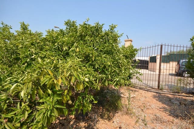 Bouwgrond te koop in Marratxí - € 339.000 (Ref: 9169604)