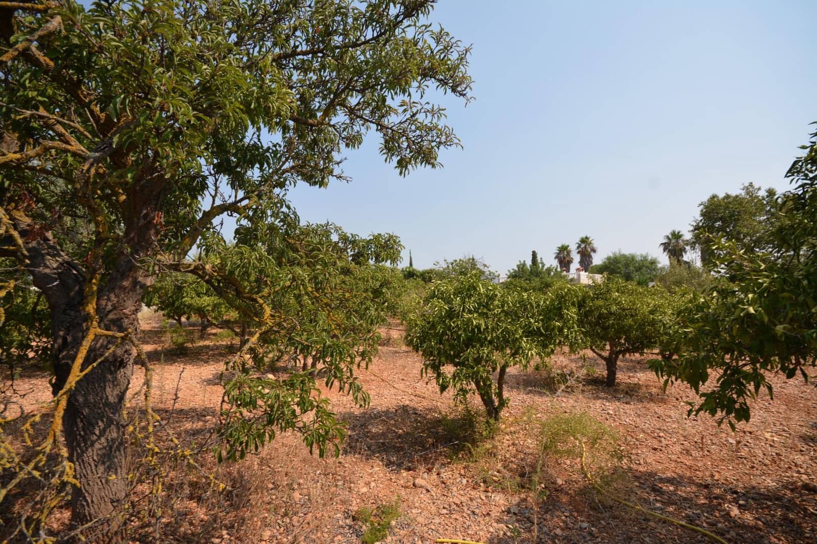 Byggegrund til salg i Marratxi - € 339.000 (Ref: 9169604)