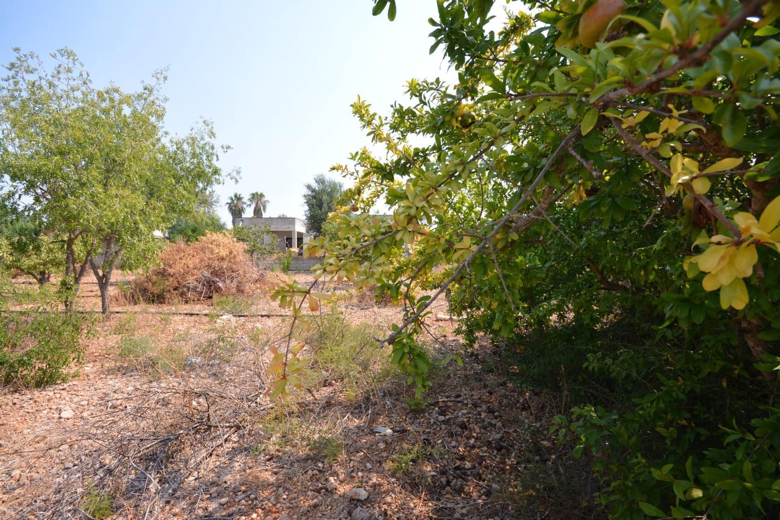 Byggegrund til salg i Marratxi - € 339.000 (Ref: 9169604)