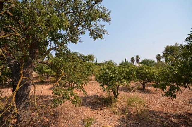 Bouwgrond te koop in Marratxí - € 339.000 (Ref: 9169604)