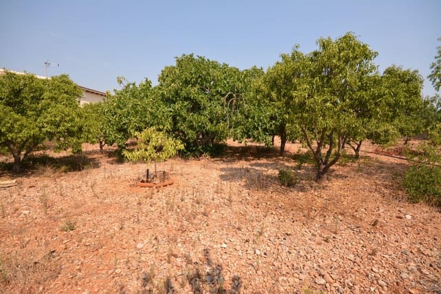 Bouwgrond te koop in Marratxí - € 339.000 (Ref: 9169604)