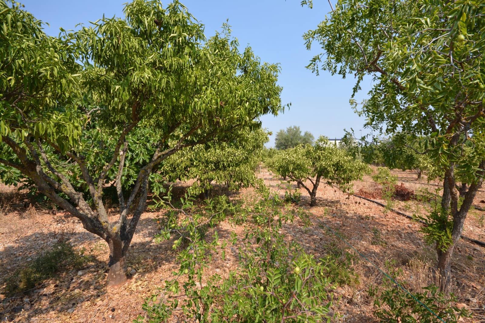 Byggegrund til salg i Marratxi - € 339.000 (Ref: 9169604)