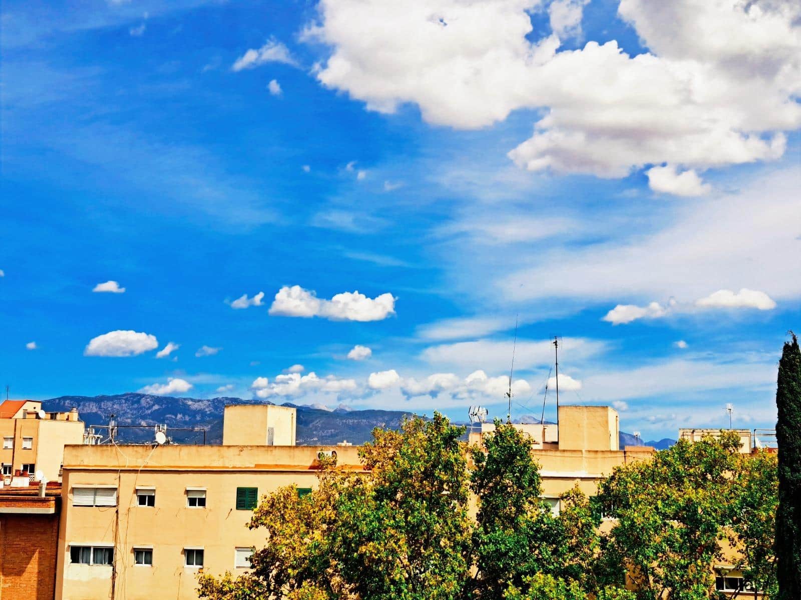 2 Zimmer Wohnung zu verkaufen in Palma de Mallorca - 299.000 € (Ref: 9206553)