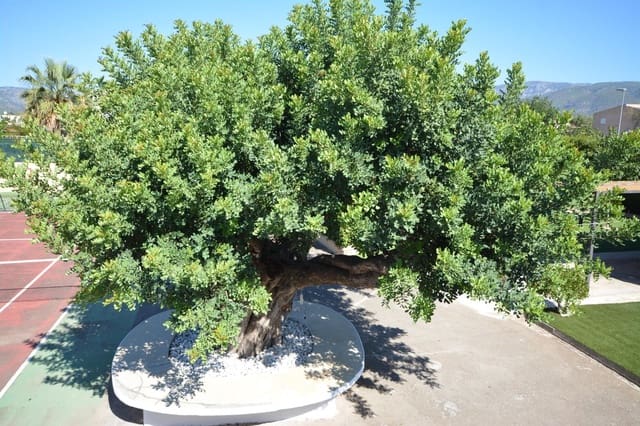 4 slaapkamer Villa te koop in El Pont d'Inca / Es Pont d'Inca, Marratxí met zwembad - € 1.590.000 (Ref: 9262675)