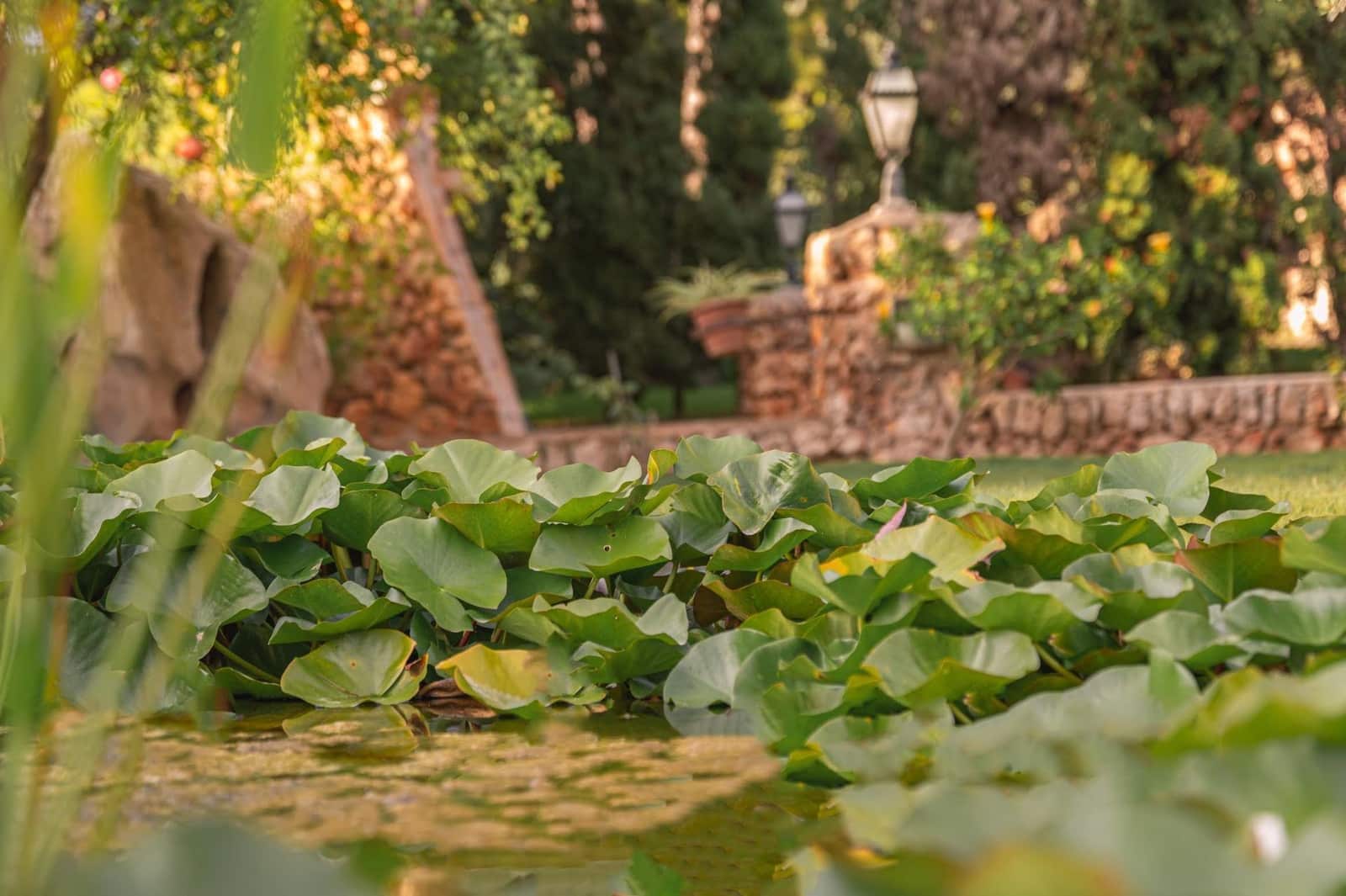 5 soveværelse Villa til salg i Costa de los Pinos med swimmingpool garage - € 2.400.000 (Ref: 9347424)