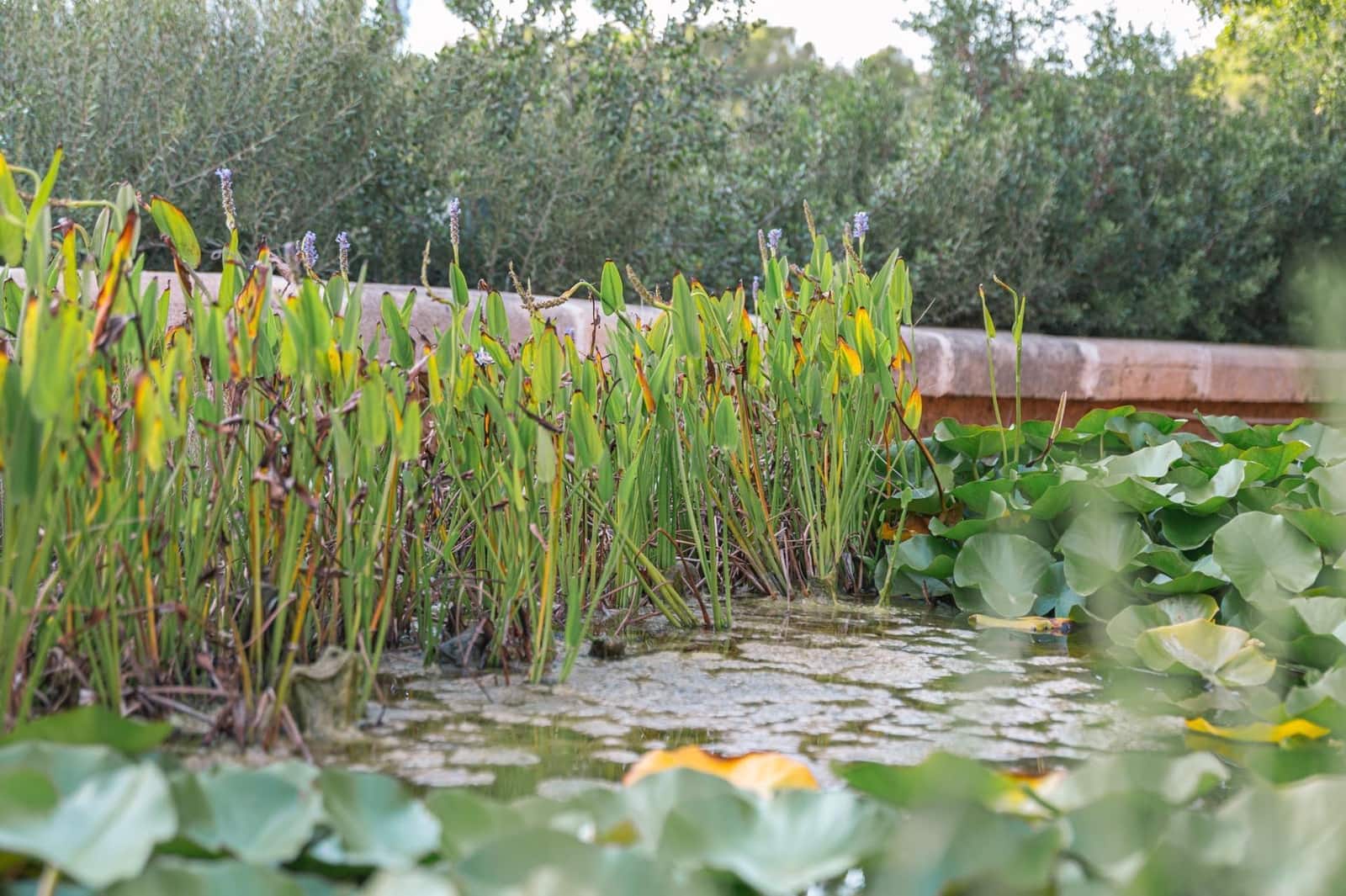 5 soveværelse Villa til salg i Costa de los Pinos med swimmingpool garage - € 2.400.000 (Ref: 9347424)