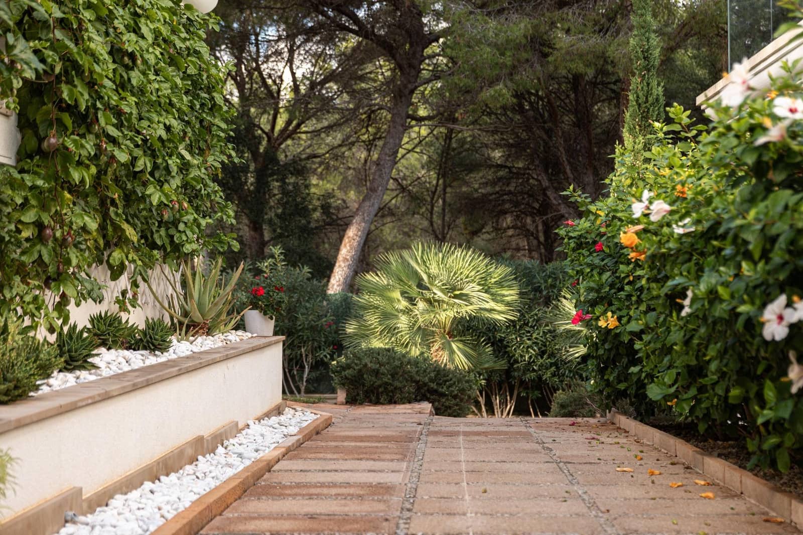 5 soveværelse Villa til salg i Costa de la Calma med swimmingpool - € 3.750.000 (Ref: 9355933)