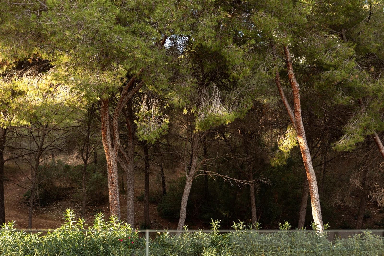 5 soveværelse Villa til salg i Costa de la Calma med swimmingpool - € 3.750.000 (Ref: 9355933)