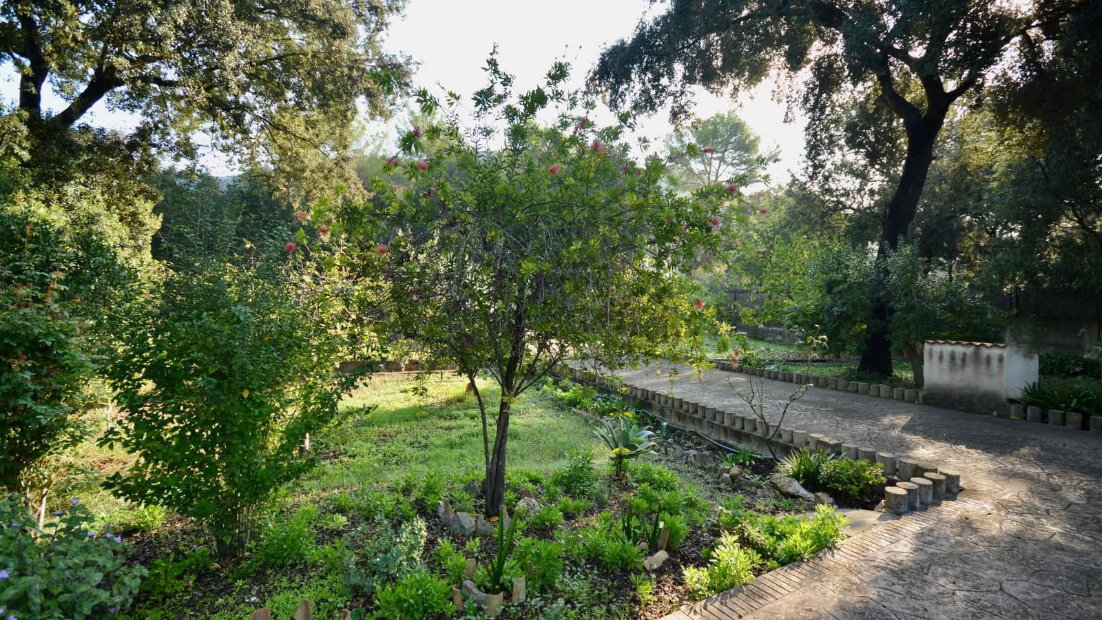 3 sovrum Finca/Hus på landet till salu i Sa Pobla med pool - 750 000 € (Ref: 9355935)