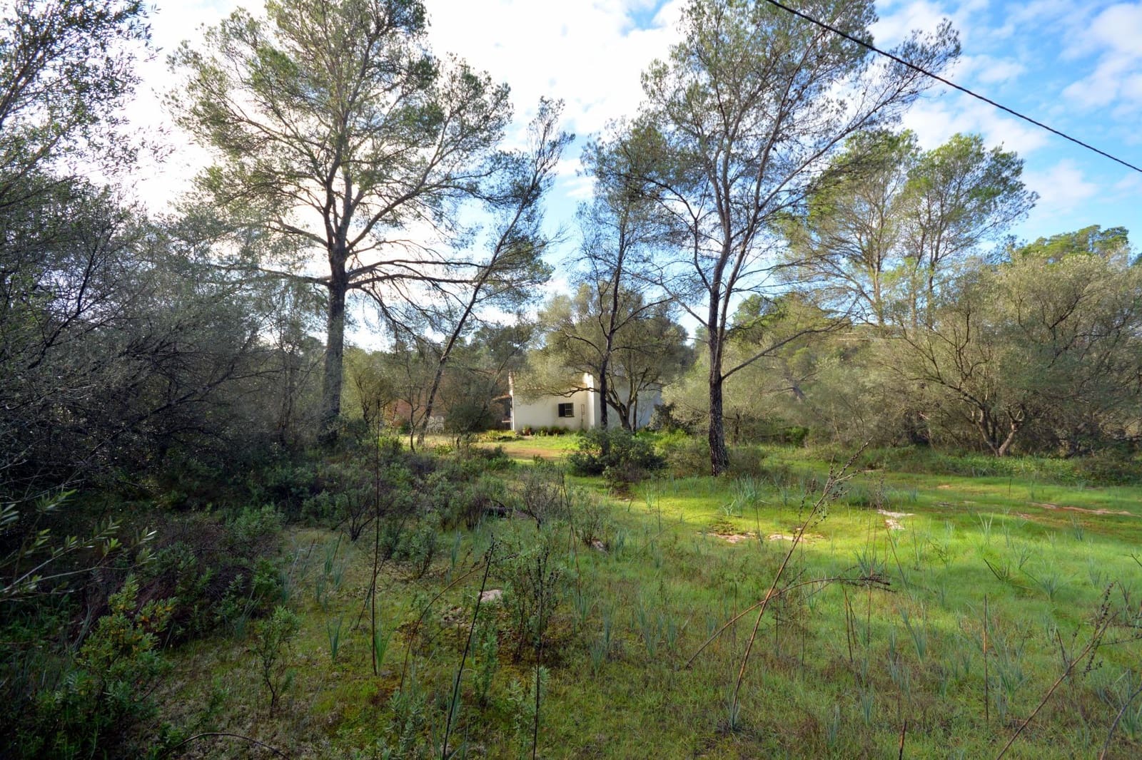 2 slaapkamer Finca/Landhuis te koop in Palma de Mallorca met zwembad - € 660.000 (Ref: 9401181)