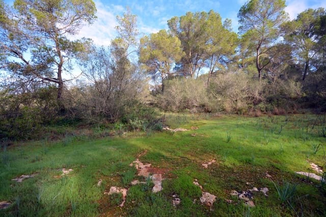2 soveværelse Finca/Landehus til salg i Palma de Mallorca med swimmingpool - € 640.000 (Ref: 9401181)