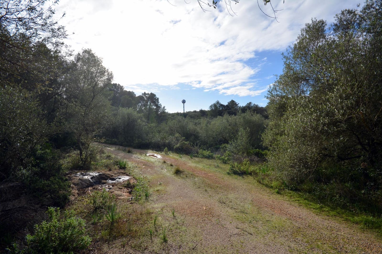 2 Zimmer Finca/Landgut zu verkaufen in Palma de Mallorca mit Pool - 620.000 € (Ref: 9401181)