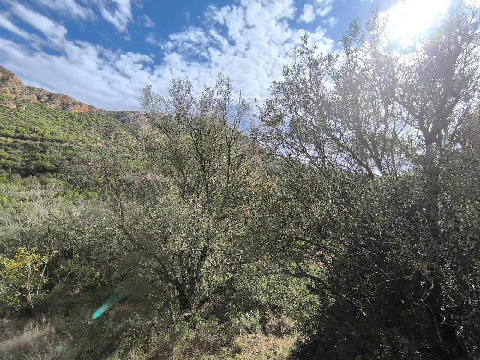 1 bedroom Finca/Country House for sale in Andratx - € 128,000 (Ref: 9417651)