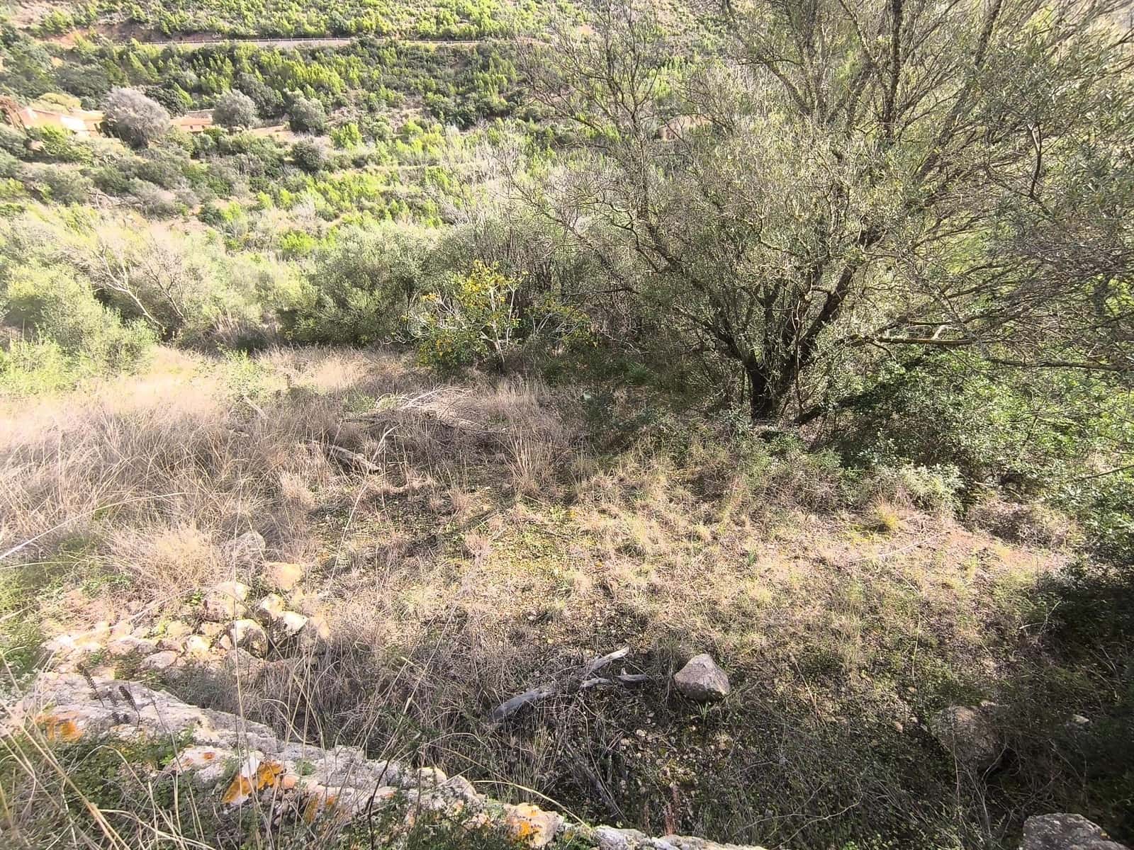 1 bedroom Finca/Country House for sale in Andratx - € 128,000 (Ref: 9417651)