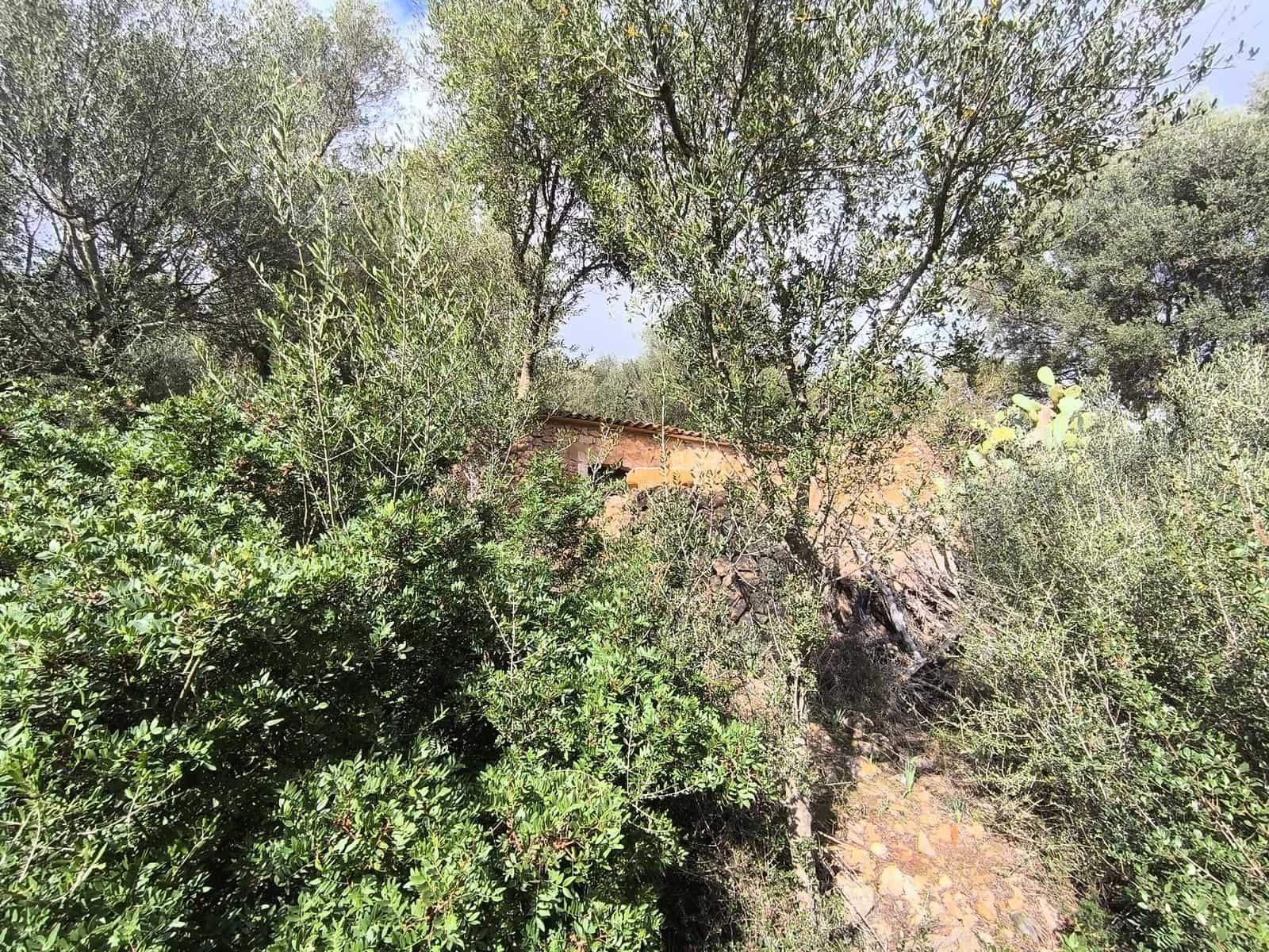 1 bedroom Finca/Country House for sale in Andratx - € 128,000 (Ref: 9417651)