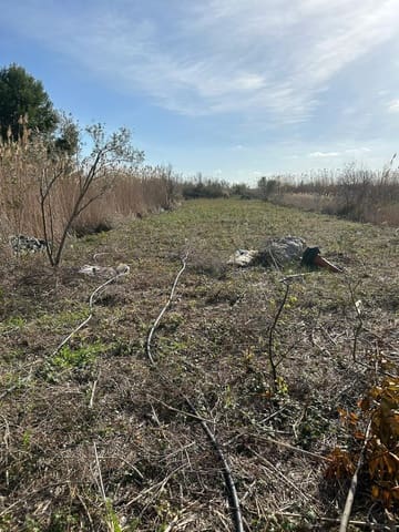 Grunde uden byggetilladelser til salg i Sa Pobla - € 49.000 (Ref: 9433608)