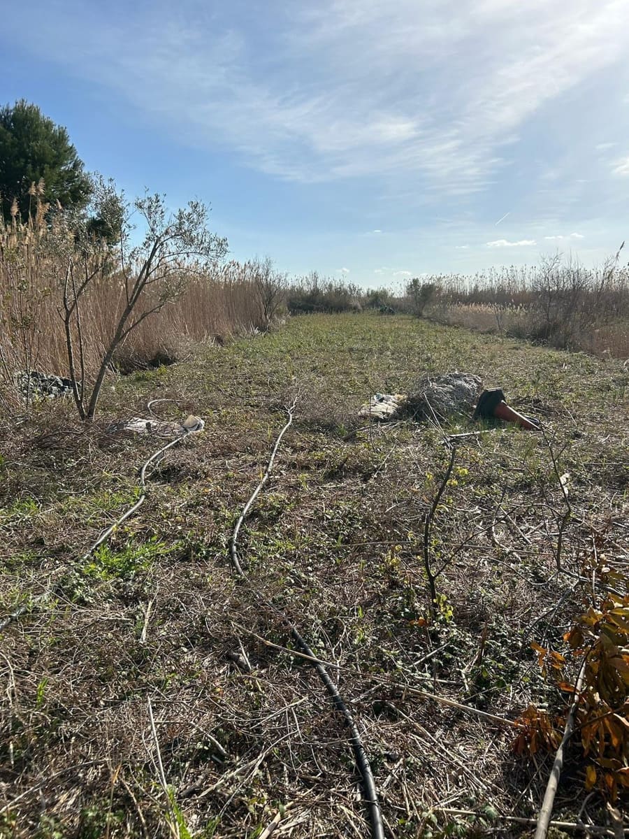 Teren niezagospodarowany na sprzedaż w Sa Pobla - 49 000 € (Ref: 9433608)