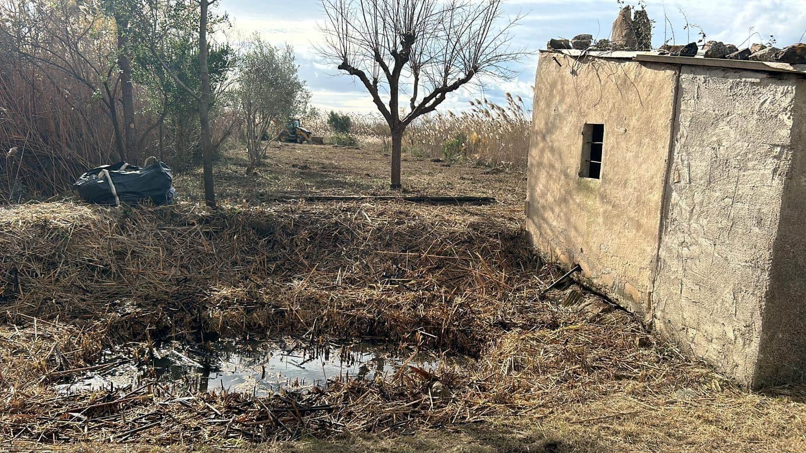 Teren niezagospodarowany na sprzedaż w Sa Pobla - 49 000 € (Ref: 9433608)