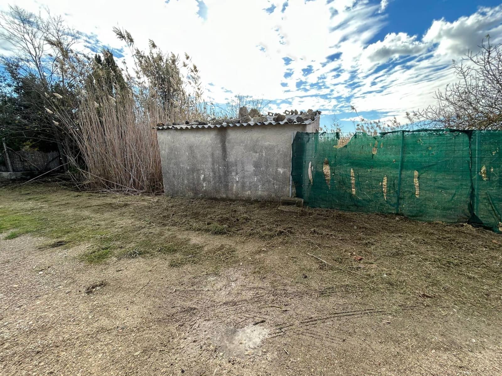 Teren niezagospodarowany na sprzedaż w Sa Pobla - 49 000 € (Ref: 9433608)