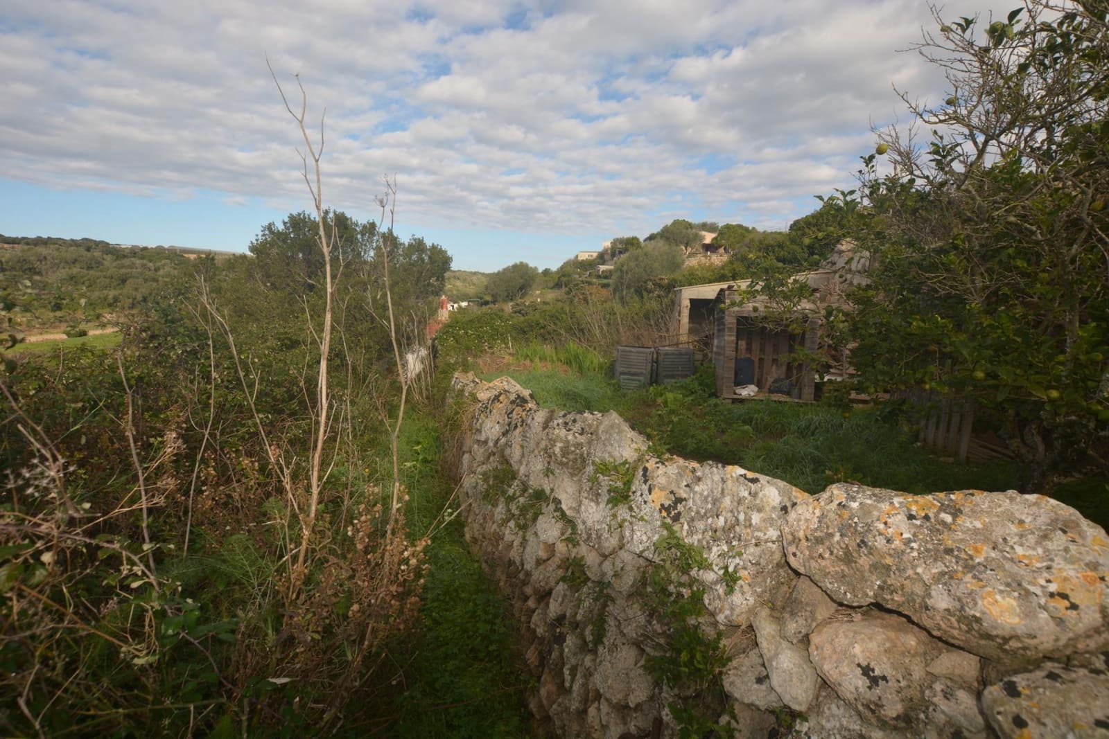 Grond te koop in El Migjorn Gran / Es Migjorn Gran - € 50.000 (Ref: 9437520)