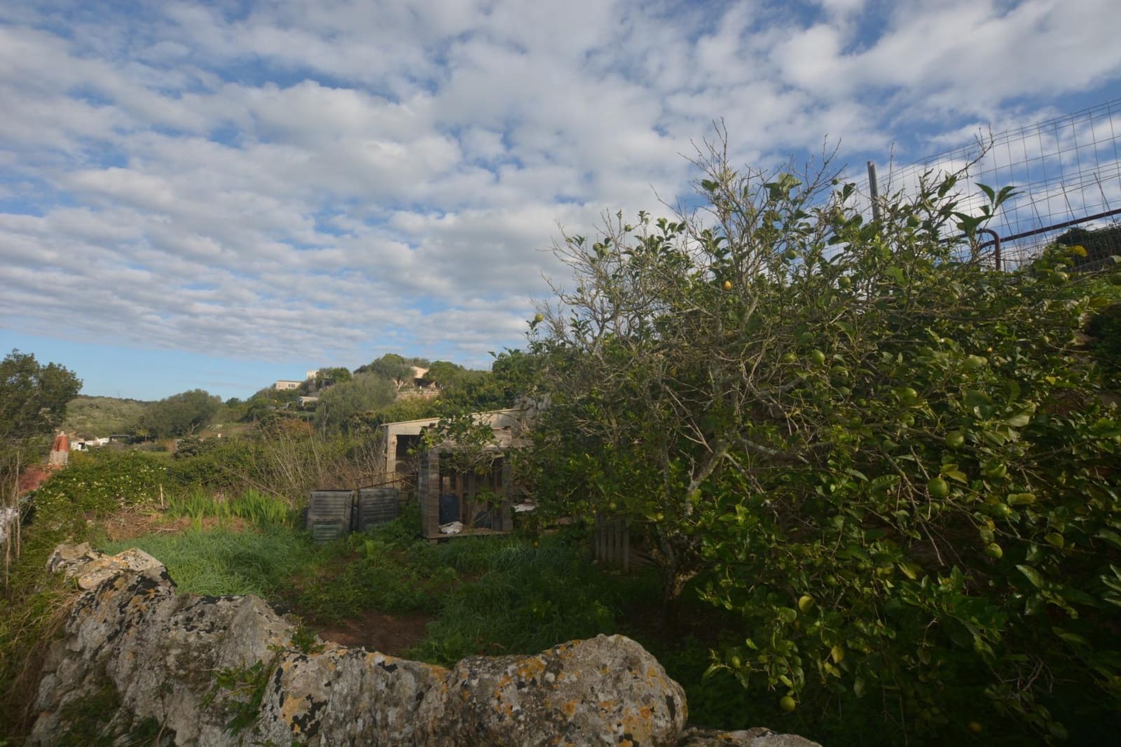 Grond te koop in El Migjorn Gran / Es Migjorn Gran - € 50.000 (Ref: 9437520)