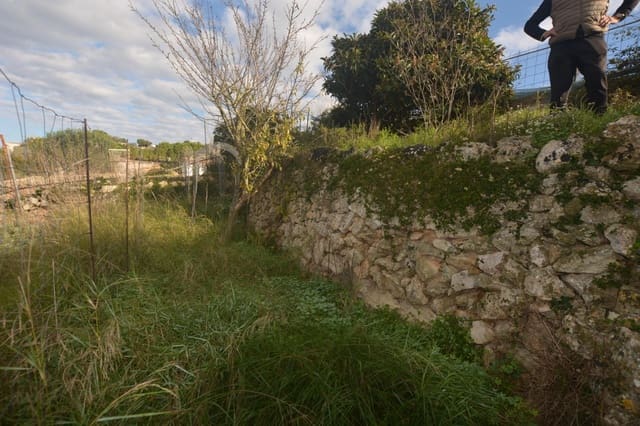 Mark till salu i El Migjorn Gran / Es Migjorn Gran - 50 000 € (Ref: 9437520)