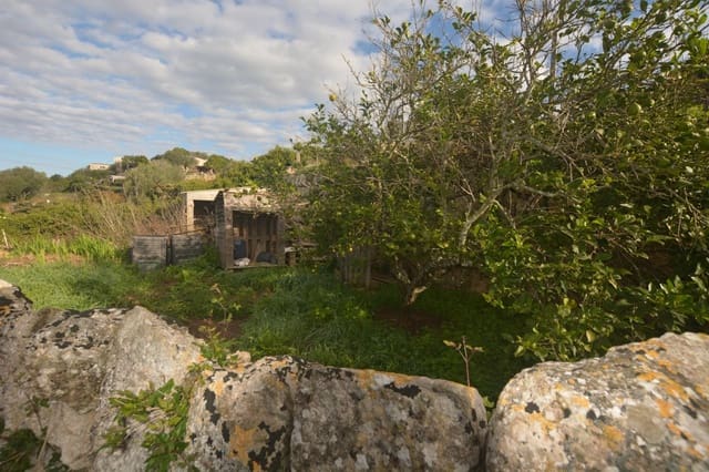 Mark till salu i El Migjorn Gran / Es Migjorn Gran - 50 000 € (Ref: 9437520)