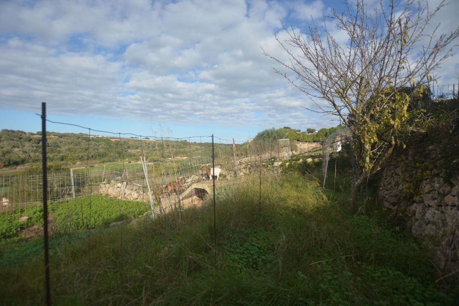 Terreno Não Urbanizado para venda em El Migjorn Gran / Es Migjorn Gran - 30 000 € (Ref: 9437520)