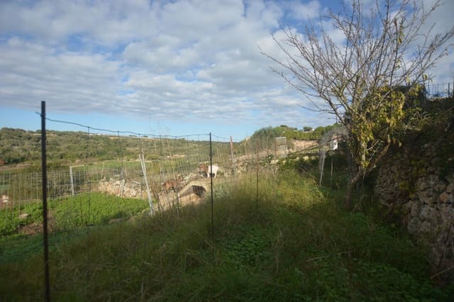 Mark till salu i El Migjorn Gran / Es Migjorn Gran - 30 000 € (Ref: 9437520)