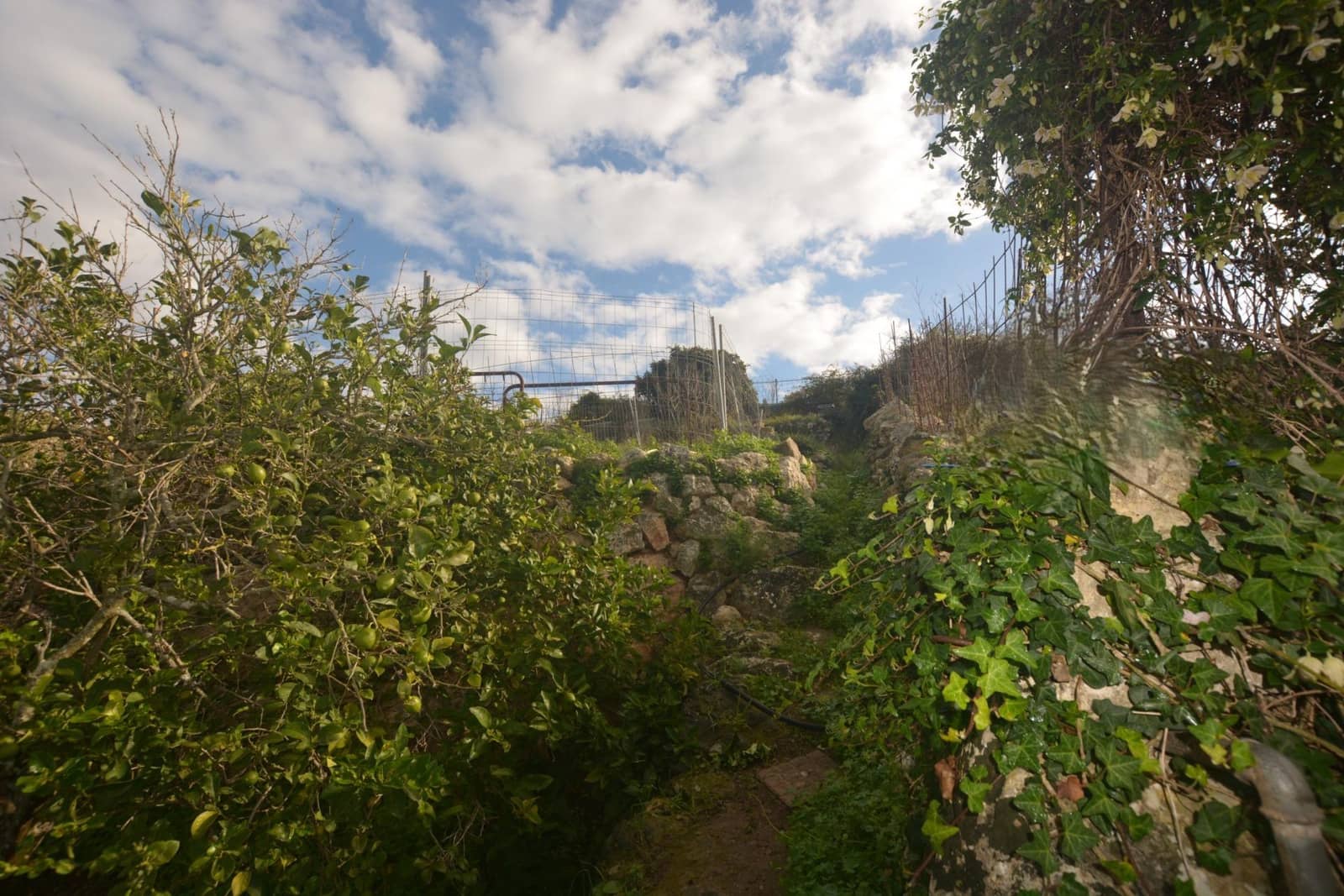 Terreno Não Urbanizado para venda em El Migjorn Gran / Es Migjorn Gran - 30 000 € (Ref: 9437520)