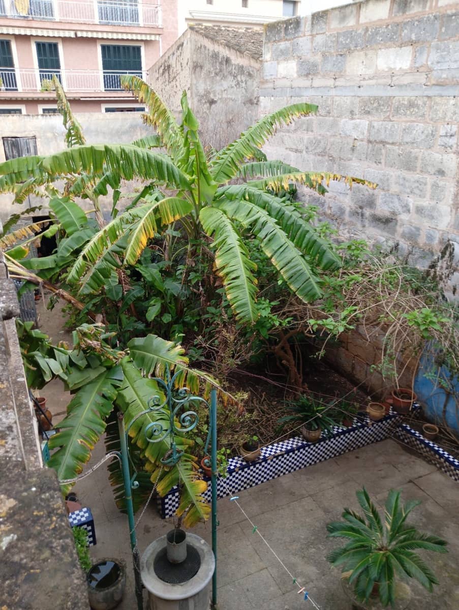 3 bedroom Townhouse for sale in Manacor - € 450,000 (Ref: 9451108)