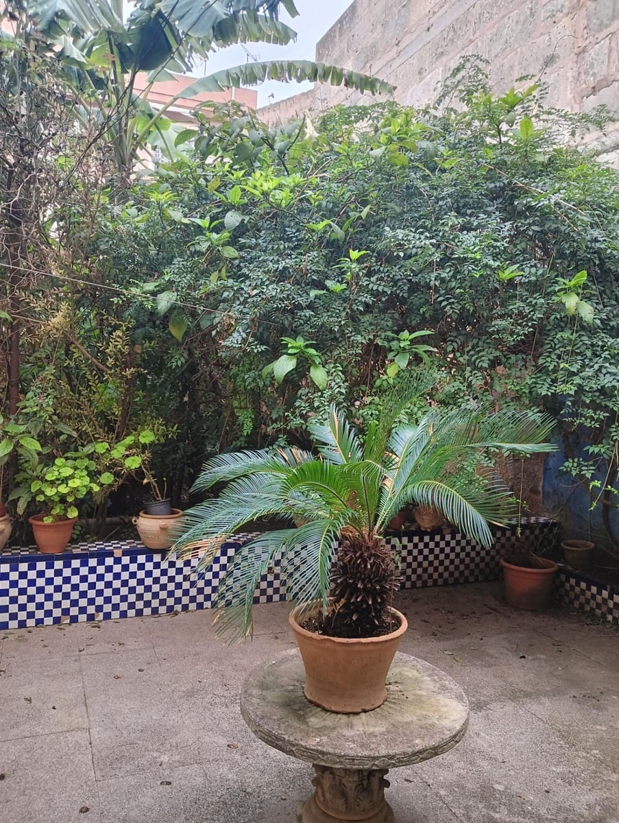 3 bedroom Townhouse for sale in Manacor - € 450,000 (Ref: 9451108)