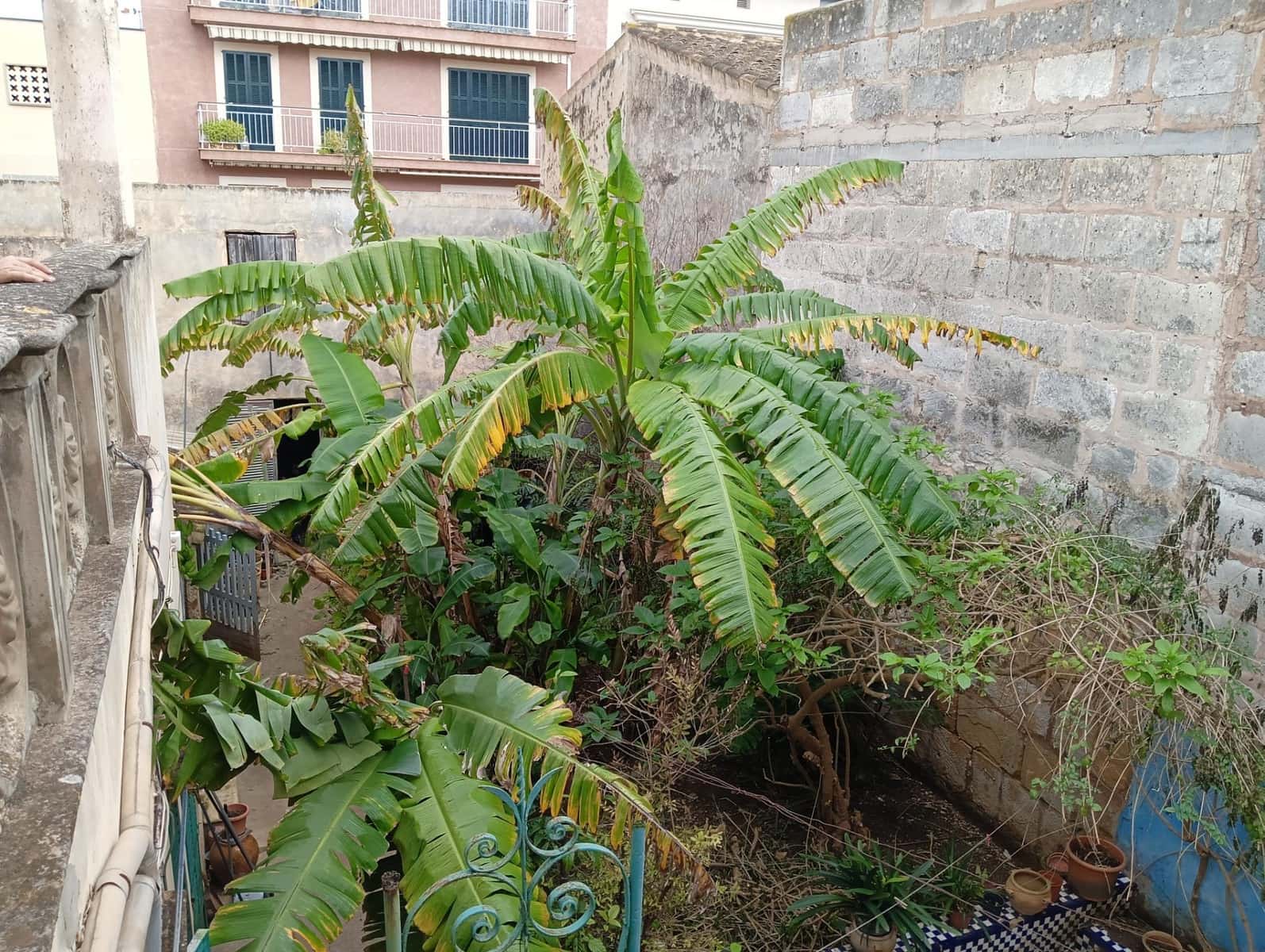 3 bedroom Townhouse for sale in Manacor - € 450,000 (Ref: 9451108)