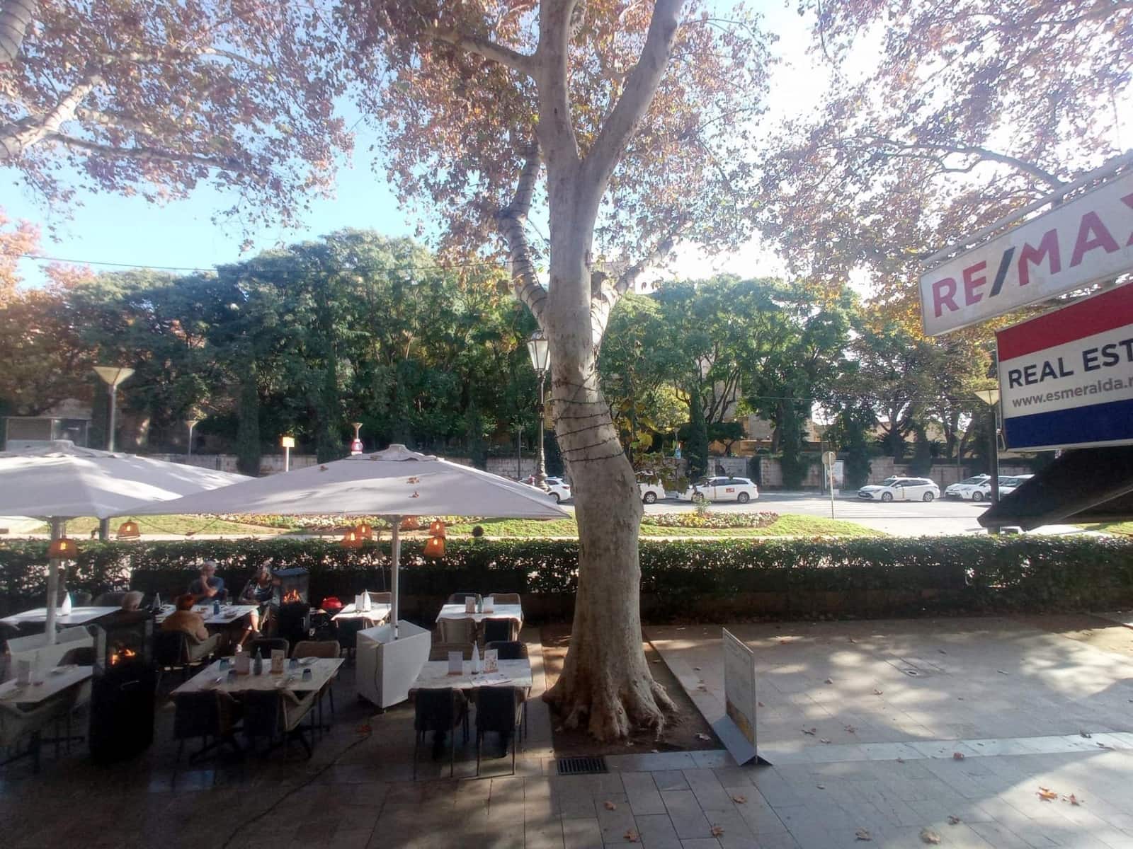 Escritório para arrendar em Palma de Mallorca - 850 € (Ref: 9462450)