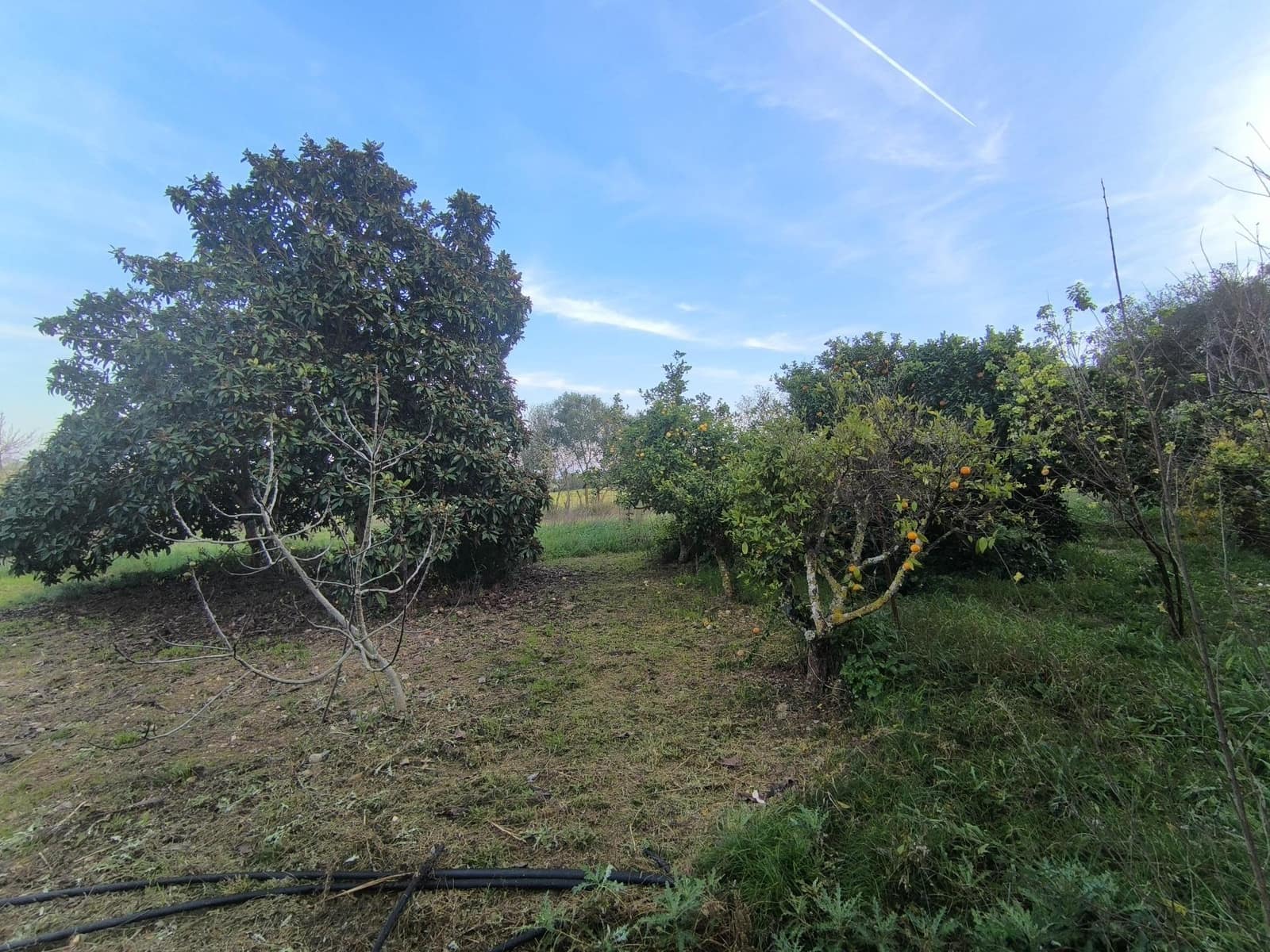 3 bedroom Finca/Country House for sale in Sant Joan with pool garage - € 470,000 (Ref: 9502452)