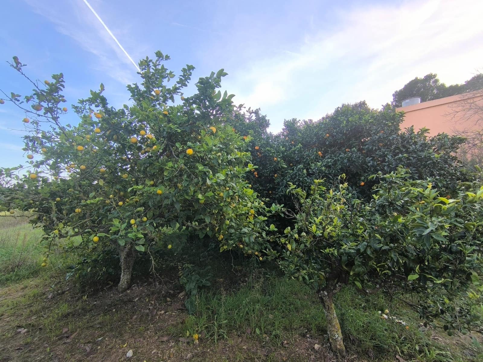 3 bedroom Finca/Country House for sale in Sant Joan with pool garage - € 470,000 (Ref: 9502452)