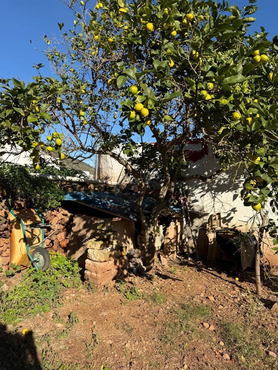 Bouwgrond te koop in Ferreries - € 107.000 (Ref: 9524399)