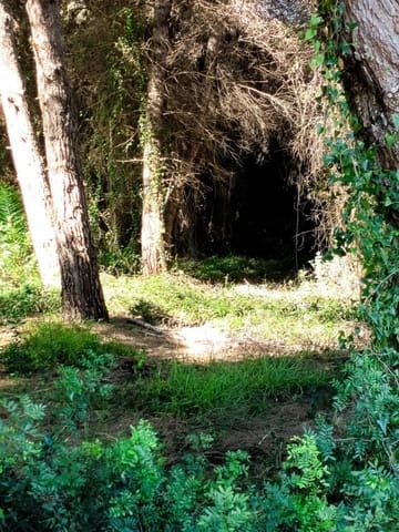 Terrain à Bâtir à vendre à Alcúdia - 295 000 € (Ref: 9541217)