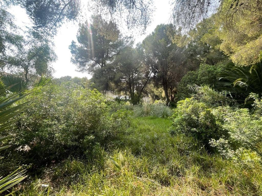 Byggegrund til salg i Alcudia - € 295.000 (Ref: 9541217)