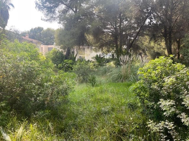 Byggegrund til salg i Alcúdia - € 295.000 (Ref: 9541217)