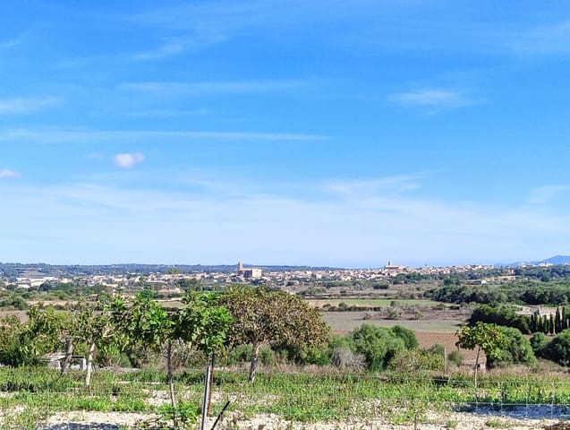 1 sovrum Finca/Hus på landet till salu i Petra - 180 000 € (Ref: 9568753)