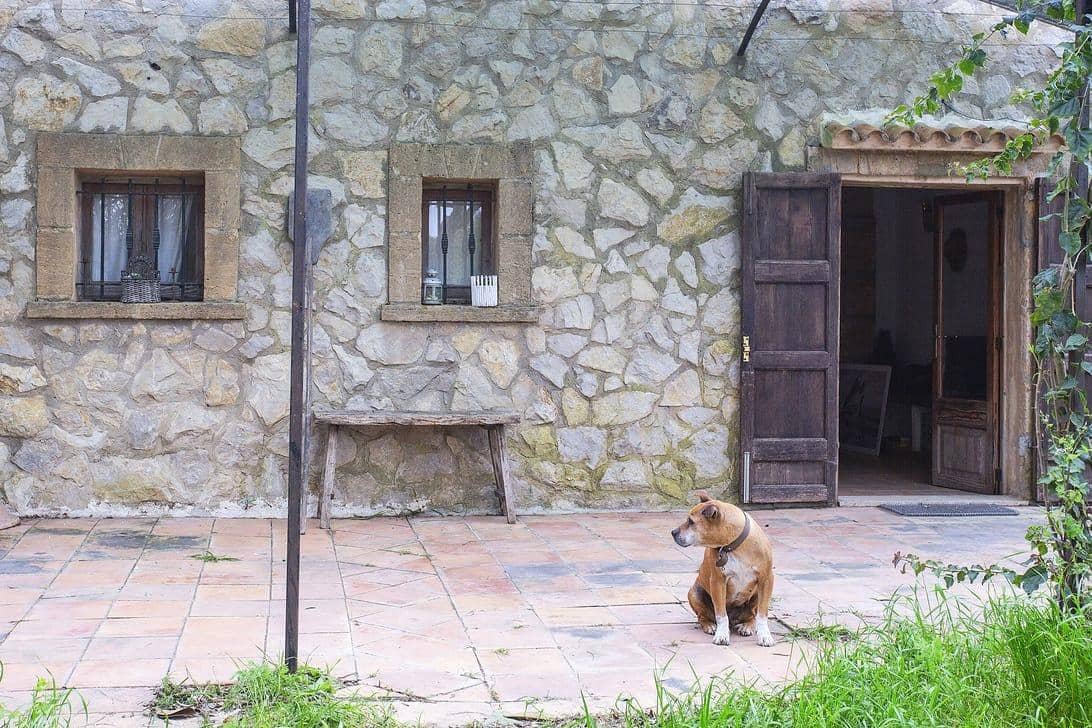 4 bedroom Finca/Country House for sale in Manacor - € 480,000 (Ref: 9619366)