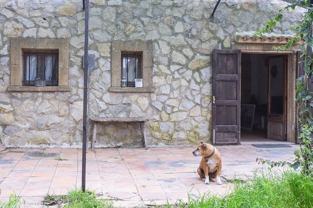 4 bedroom Finca/Country House for sale in Manacor - € 480,000 (Ref: 9619366)