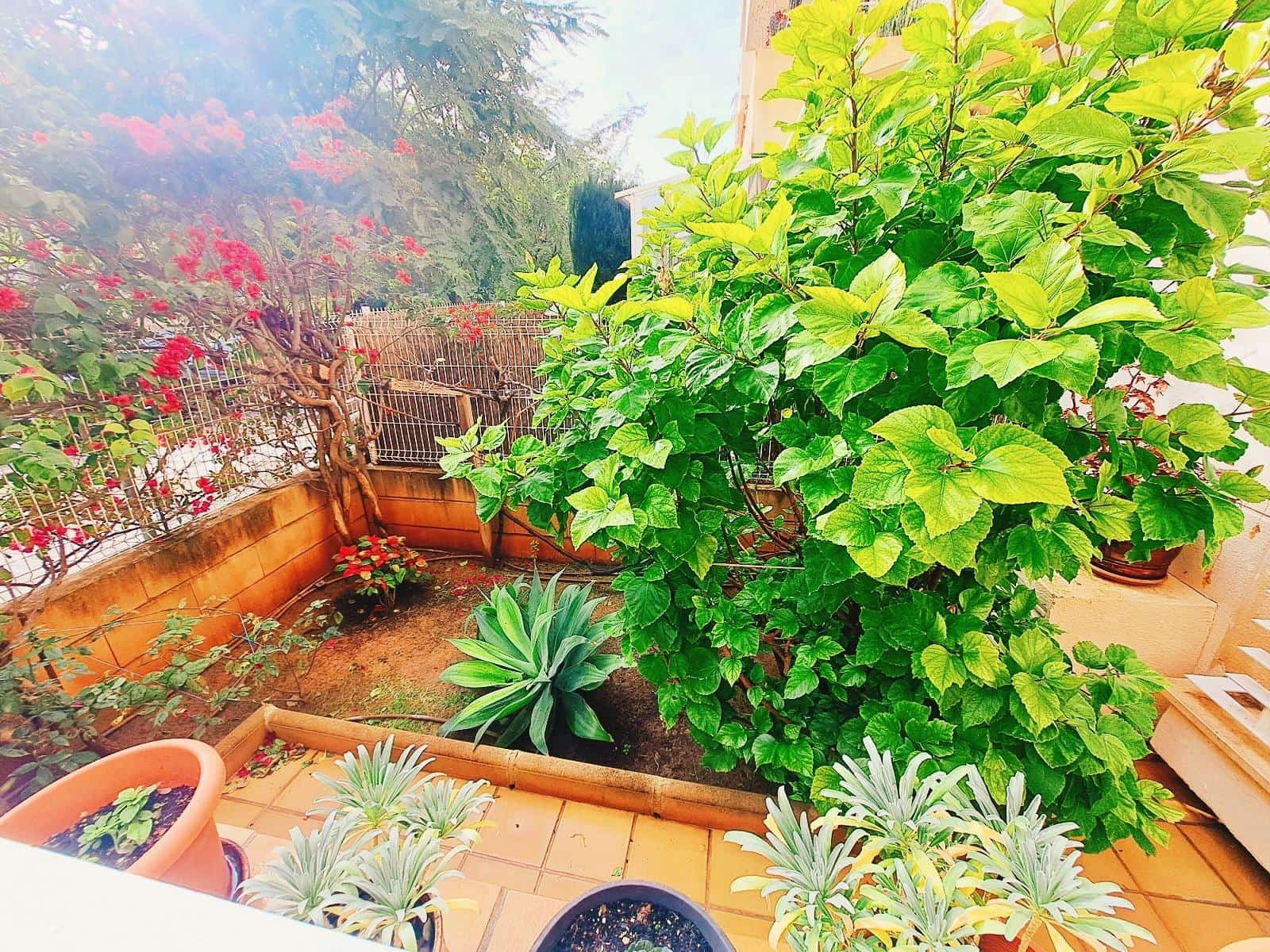 3 bedroom Apartment for sale in Palmanova - € 620,000 (Ref: 9625780)